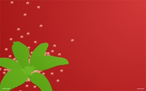 加藤700跟900什么区别，加藤8007与7007有何不同求高手详解
